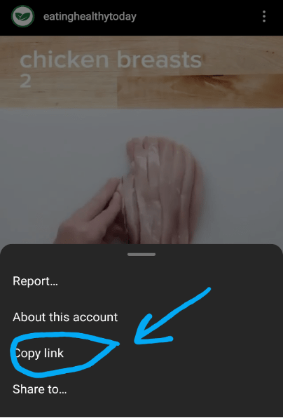 download instagram video 