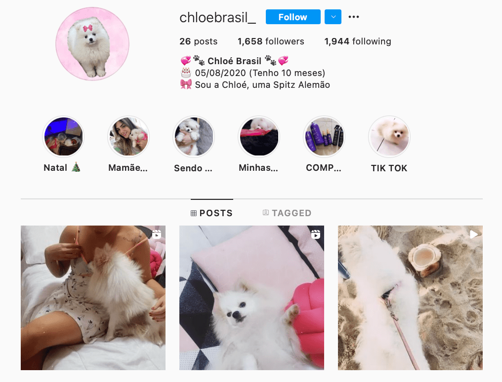 4 perfis engraçados do Instagram para seguir agora mesmo!