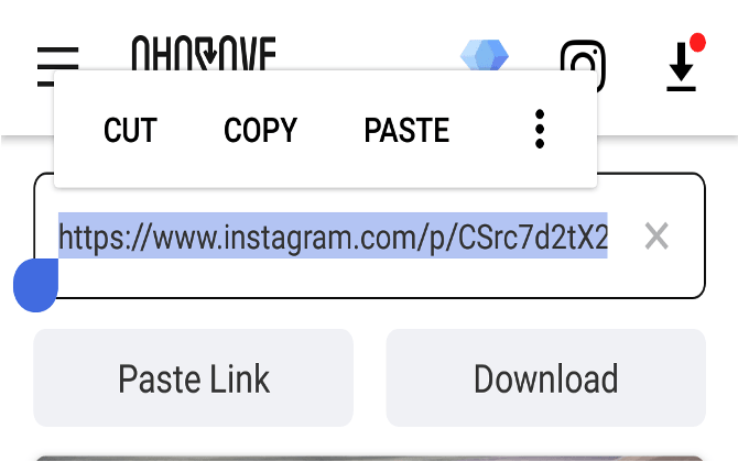 download instagram video 