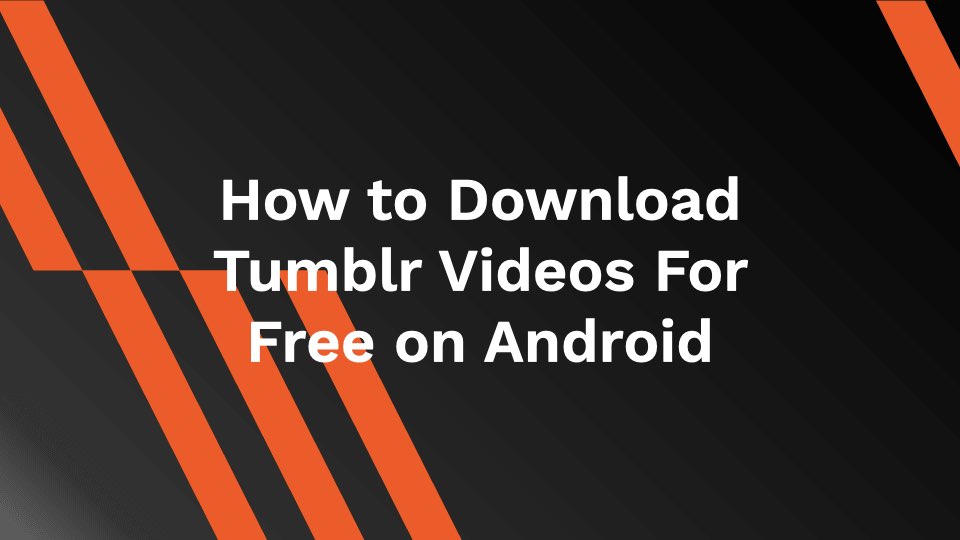 How to Download Tumblr Videos For Free on Android