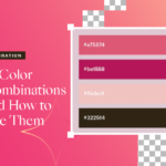 color combination ideas