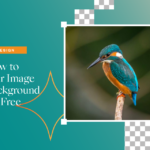 blur background of image