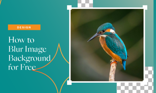 blur background of image