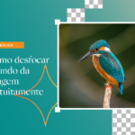 Como desfocar o fundo da imagem gratuitamente cover