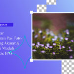 Daftar ukuran pas foto paling akurat dan cara mudah reize JPG menggunakan aplikasi Collart