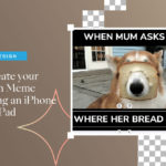 Create Your Own Meme Using an iPhone or iPad