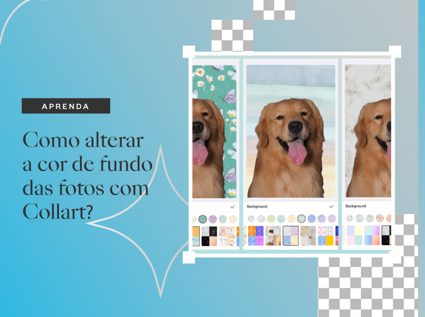 Como alterar a cor de fundo das fotos com Collart?
