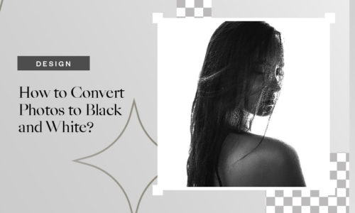 How to Convert Photos to Black and White?