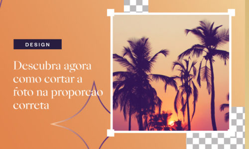 Descubra agora como cortar a foto na proporção correta!