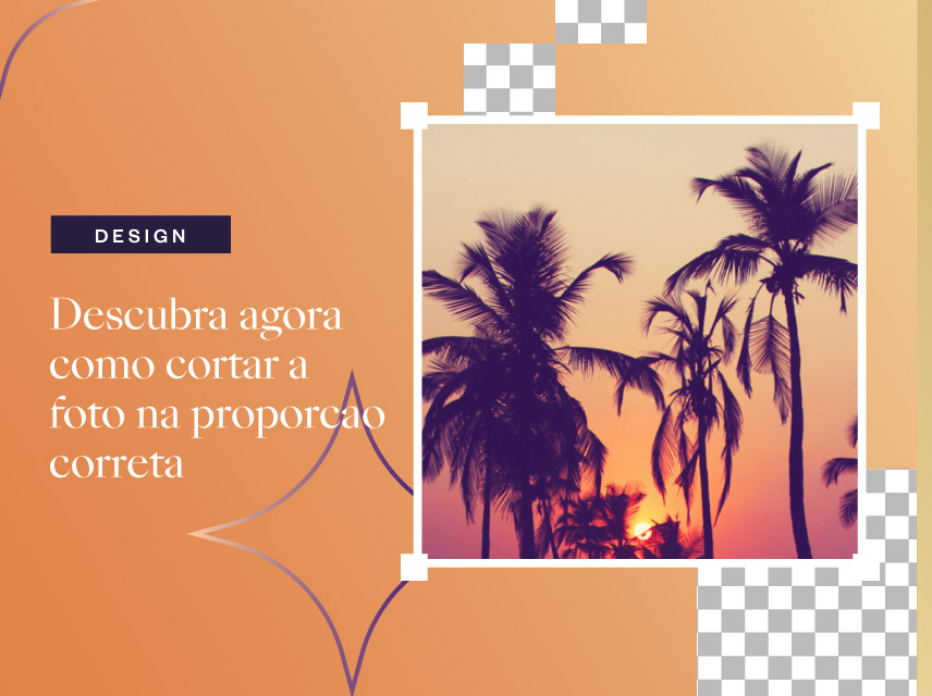 Descubra agora como cortar a foto na proporção correta!