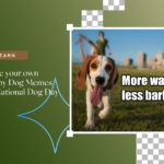 Make Your Own Funny Dog Memes On National Dog Day
