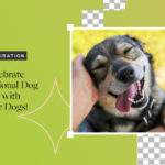 Celebrate National Dog Day With Your Dogs!