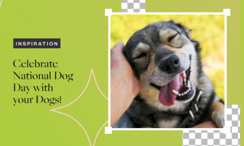 Celebrate National Dog Day With Your Dogs!